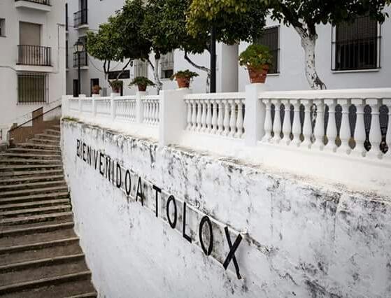 Hotel Las Flores Tolox Dış mekan fotoğraf