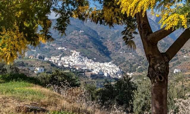 Hotel Las Flores Tolox Dış mekan fotoğraf